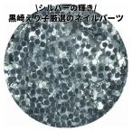 ビューティーネイラー 黒崎えり子 ジュエリーコレクション シルバー ERI-43 ネイルパーツ 2g