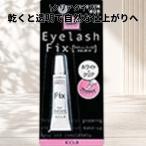 KOJI コージー本舗 アイラッシュフィックス スタンダード つけまつげ接着剤 1個 2FX6121