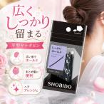 粧美堂 SHOBIDO ヤナギピン 35g SPV40006 ヘアピン
