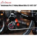 TRIPEAK トライピーク Jetstream Pro 2  Pulley Wheel Kits (12-18T) 12S用　(セラミックベアリング) ビッグプーリー 自転車 プーリー