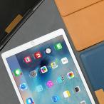 iPad Pro ケース バッグ型 ポーチ araree Stand Clutc