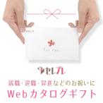 就職・退職・昇進祝い【セレプレ】 5,000円プラン★お急ぎの方はLINEでお贈りいただけます！！★全国送料無料★