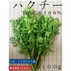 パクチー コリアンダー 岡山 パクチー 特別栽培農産物 パクチー 有機JAS認定パクチー　西日本　岡山県産　旬野菜