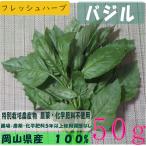バジル　特別栽培農産物 　無農薬　無化学肥料　ハーブ　西日本　岡山県産　旬野菜