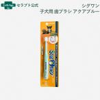 sig one . собака для зубная щетка aqua blue [ кошка pohs отправка ]9шт.@ до (00629)