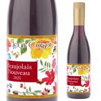 ワイン 1 ジャンコルソン ボジョレーヌーボー (2025) 500mlペット ボジョレーヌーボー ボージョレヌーヴォー 新25 BNV25 長S