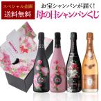 シャンパン 2025 母の日 シャンパンくじ 高級シャンパンを贈り物に 先着400本 福袋 送料無料 浜運A