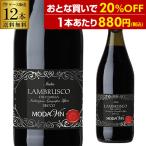 ワインセット 赤 微発泡 スパークリング 12本 ランブルスコ デッレ エミリア セッコ 750ml 辛口 wine 送料無料 長S 虎