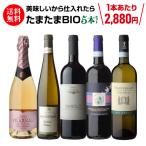 ワイン ワインセット 1本あたり2,880円(税込) 送料無料 美味しいから仕入れたらたまたまBIOだった5本セット 6弾 赤 白 泡 浜運
