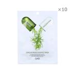 GASI ガシ ジェリコローズ（復活草）エッセンスマスク 1枚 25g ★まとめ買い用10枚セット（1枚×10） 【アウトレット/在庫処分】