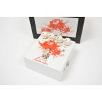 ショッピングギター (中古) Sunfish Audio OverDrive “Lycoris” エフェクター(オーバードライブ) (USED)