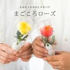  мини роза подарок красный желтый розовый orange белый день рождения праздник . цветок один колесо .... rose важный человек .... делать роза 