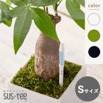  полив контрольно-измерительный прибор SUSTEE подвеска чай S размер зеленый белый черный kyabino che 