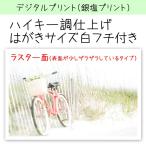 色調選択プリント ハイキー調 はがきサイズ ラスター面質 白フチ付き仕上げ