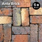 レンガ 庭 ガーデン おしゃれ アンティークレンガ 古煉瓦 （アンテブリック オーバーファイヤー 123 ケース（6個入）販売）※代引き不可・メーカー直送品