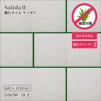屋外用舗石タイル 600×300mm 雑草対策 敷石 飛び石 ステップストーン 厚物 車両・重歩行対応 防草対策 屋外タイル (サリダ2 DL2 ケース(4枚入)販売)