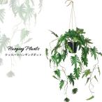  искусственная зелень ... модель интерьер декоративное растение искусственный цветок подвешивание ниже стена кухня (kka роза висячий pot )