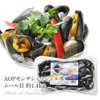 [ reservation commodity ]AOPmon sun mi shell production mussel approximately 1.4kg[ refrigeration ]