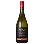 �Х�ǥ��ӥ��� ���󥰥������䡼�� �쥤���������졼 ���������˥�󡦥֥��750ml�ξﲹ/��¢�ϡ�3��4�Ķ�������˽в١�[W] ���� ��磻��