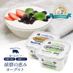  лампочка .. .. йогурт 1kg×1 упаковка ....(. сахар * сахар не использование )[ рефрижератор ][ предварительный заказ распродажа ][ срок годности : после доставки 1 неделя и больше ]