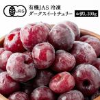 [ рефрижератор фрукты ] иметь машина JAS рефрижератор темный сладкий Cherry 300g[ рефрижератор только ] иметь машина JAS selection laru Турция производство иметь машина 10 пакет до 1 рассылка . доставка [3~4 предприятие дней в течение отгрузка ]