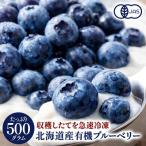  Hokkaido производство рефрижератор органический голубика иметь машина JAS засвидетельствование 500g[ рефрижератор только ] иметь машина JAS местного производства иметь машина голубика [4~5 предприятие дней в течение отгрузка ]