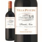 �����顦�ץå����� �ԥΡ��ͥ� �ơ��졦�����ꥢ���͡ξﲹ/��¢�ϡ�3��4�Ķ�������˽в١�