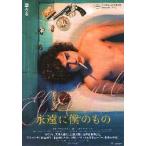 映画チラシ／永遠に僕のもの　（Lフェロ）　アルゼンチン