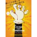  фильм рекламная листовка | SK p*f ром *tumo low 