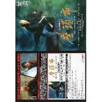  фильм рекламная листовка | сиденье голова город ( север ..) D маленький версия A5/ tower reko..