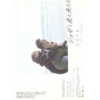 映画チラシ／ジョゼと虎と魚たち（池脇千鶴