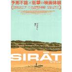 映画チラシ／ シラート　（Oラシェ監督）　A　水色/裏面：男性1人