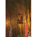  фильм рекламная листовка | юг высшее история ( высота ..) C A4 версия / Aurora сообщение 3 номер 