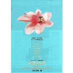  фильм рекламная листовка | Magno задний (PT нижний son постановка ) A цветок 