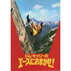 映画パンフレット／ ジム・キャリーのエースにおまかせ！　