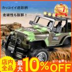 ラジコンカー ラジコン ラジコン自動車 おもちゃ オフロード R/C RCカー 走破性抜群 子供向け 誕生日 ギフト プレゼント バッテリー2個