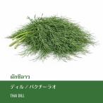  кориандр lao20g Thai производство укроп 