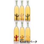 ポルフィディオ テキーラ スアヴェ サボテン入り 正規品 25度 750ml ■サボテンの色は選択できません。