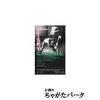 8/26より出荷!グレンロッシー 29年 1995 バーボンカスク リンブルグウイスキーフェア2025リリース (モルトバーン) 49.2度 700m