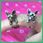 [ кошка pohs рейс ] животное Wan кольцо French brudok[ собака товары * кольцо супер-скидка ]