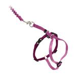 PetSafe( домашнее животное safe ) кошка. Harness легкий walk кошка для Harness &amp; банджи Lead da стойка rose L размер 