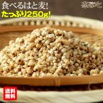 ショッピングハトムギ ハトムギ そのまま食べる はと麦 250g はとむぎ スナック 送料無料 はとむみ スーパーフード 健康 ヨクイニン はと麦茶 はとむぎ茶 国内製造 シリアル