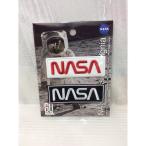 NASA公認(アメリカ航空宇宙局) ワッペン ロゴタイプ(ワーム)2枚セット　アイロンワッペン　刺繍、