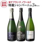 シャンパンセット ブラン ド ノワール 特選シャンパーニュ3本セット 第5弾 シャンパン シャンパーニュ 送料無料 浜運A