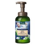 クナイプ　泡ボディウォッシュ　バレリアン　450g（ポンプ）