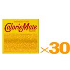 大塚製薬 カロリーメイト チョコレート味 4本入x30個組