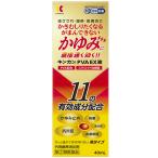 【第2類医薬品】キンカンPVA EX液　40ml