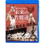 翔びだせ 世界へ 未来の若鷲達  （一社）劉衛流龍鳳会演武会 （Blu-ray）