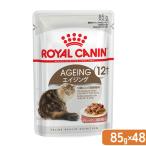ロイヤルカナン 猫 エイジング 12+ 85g 1箱48袋 9003579310151 お一人様1点限り
