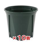 スリット鉢　ＥＵＰＯＴ　１１ｃｍ　モスグリーン　１０個入り